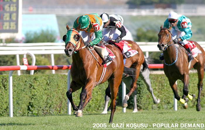 Popular Demand ve Halis Karataş