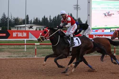 2025 Adana'nın Kurtuluşu Koşusu Kazananı Altınsima