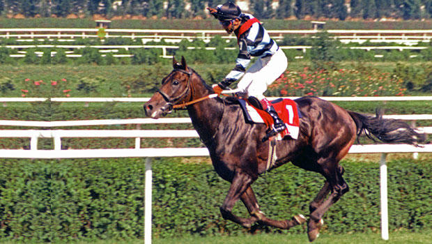 Bold Pilot ve Halis Karataş