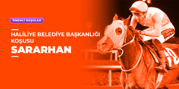 Haliliye Belediye Başkanlığı Koşusu 2025 Sararhan