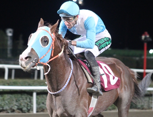 2025 Haliliye Belediye Başkanlığı Koşusu'nu Sararhan Kazandı