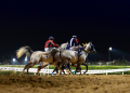 İzmir Şirinyer Hipodromu Gece Yarışları