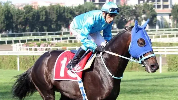 Matador Yaşar ve Halis Karataş