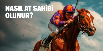 Nasıl At Sahibi Olunur?