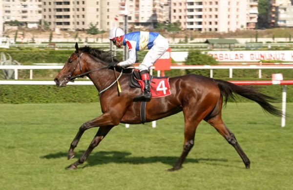 Ribella ve Halis Karataş