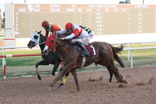 Ali Samsa Karamehmet Koşusu’nu Froster Kazandı