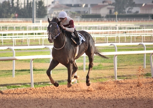 Seyhan Belediye Başkanlığı Koşusu 2025 Baybars Han