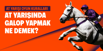 Sıralı İkili Nasıl Oynanır? TJK Sıralı İkili Bahis Rehberi ve Hesaplama