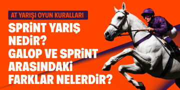 Sıralı İkili Nasıl Oynanır? TJK Sıralı İkili Bahis Rehberi ve Hesaplama