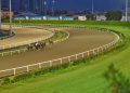 Veliefendi Hipodromu Yarış Pistleri