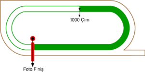 Adana Yeşiloba Hipodromu 1000 metre Çim Pist