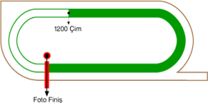 Adana Yeşiloba Hipodromu 1200 metre Çim Pist