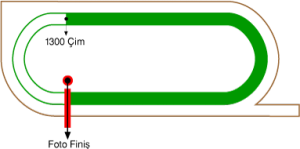 Adana Yeşiloba Hipodromu 1300 metre Çim Pist