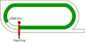 Adana Yeşiloba Hipodromu 1500 metre Çim Pist