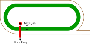 Adana Yeşiloba Hipodromu 1700 metre Çim Pist