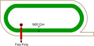 Adana Yeşiloba Hipodromu 1800 metre Çim Pist