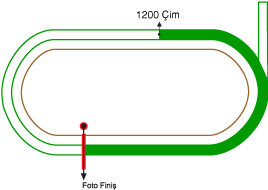 Ankara 75. Yıl Hipodromu 1200 metre Çim Pist