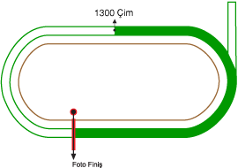 Ankara 75. Yıl Hipodromu 1300 metre Çim Pist