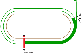 Ankara 75. Yıl Hipodromu 800 metre Çim Pist