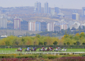 Ankara 75. Yıl Hipodromu Yarış Pistleri