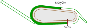 Bursa Osmangazi Hipodromu 1300 metre Çim Pist