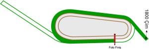 Bursa Osmangazi Hipodromu 1800 metre Çim Pist