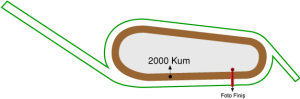 Bursa Osmangazi Hipodromu 2000 metre Kum Pist