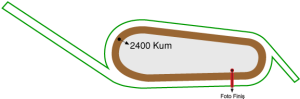 Bursa Osmangazi Hipodromu 2400 metre Kum Pist