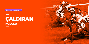 Çaldıran Koşusu
