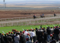 Diyarbakır Hipodromu Yarış Pisti