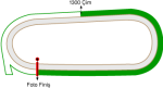 İstanbul Veliefendi Hipodromu 1300 metre Çim Pist