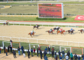 Kocaeli Kartepe Hipodromu Yarış Pistleri
