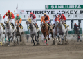 Şanlıurfa Hipodromu Pistleri