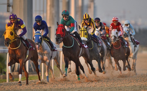 Sedat Üründül Koşusu 2025 - Doğan Kardeşler