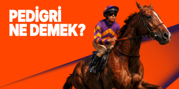 Pedigri (Pedigree) Ne Demek? At Yarışında Soy Kütüğü ve Orijin Analizi