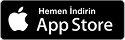 AppStore Icon